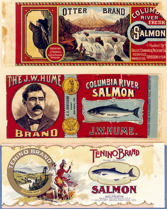 Columbia River Salmon Canning Labels // OrHi 85374