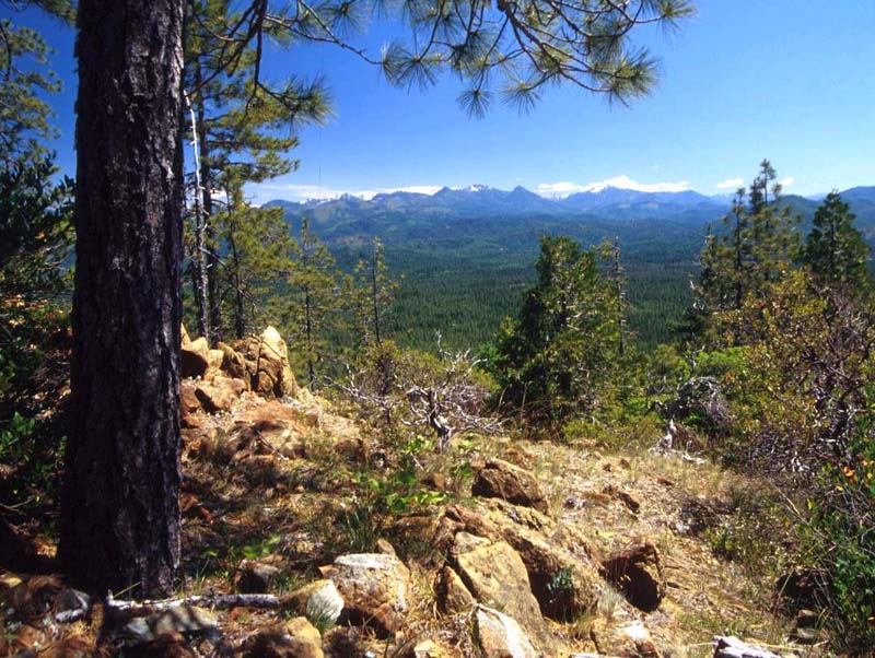 Siskiyou National Forest