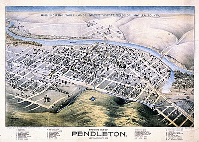 Birds Eye View Pendleton